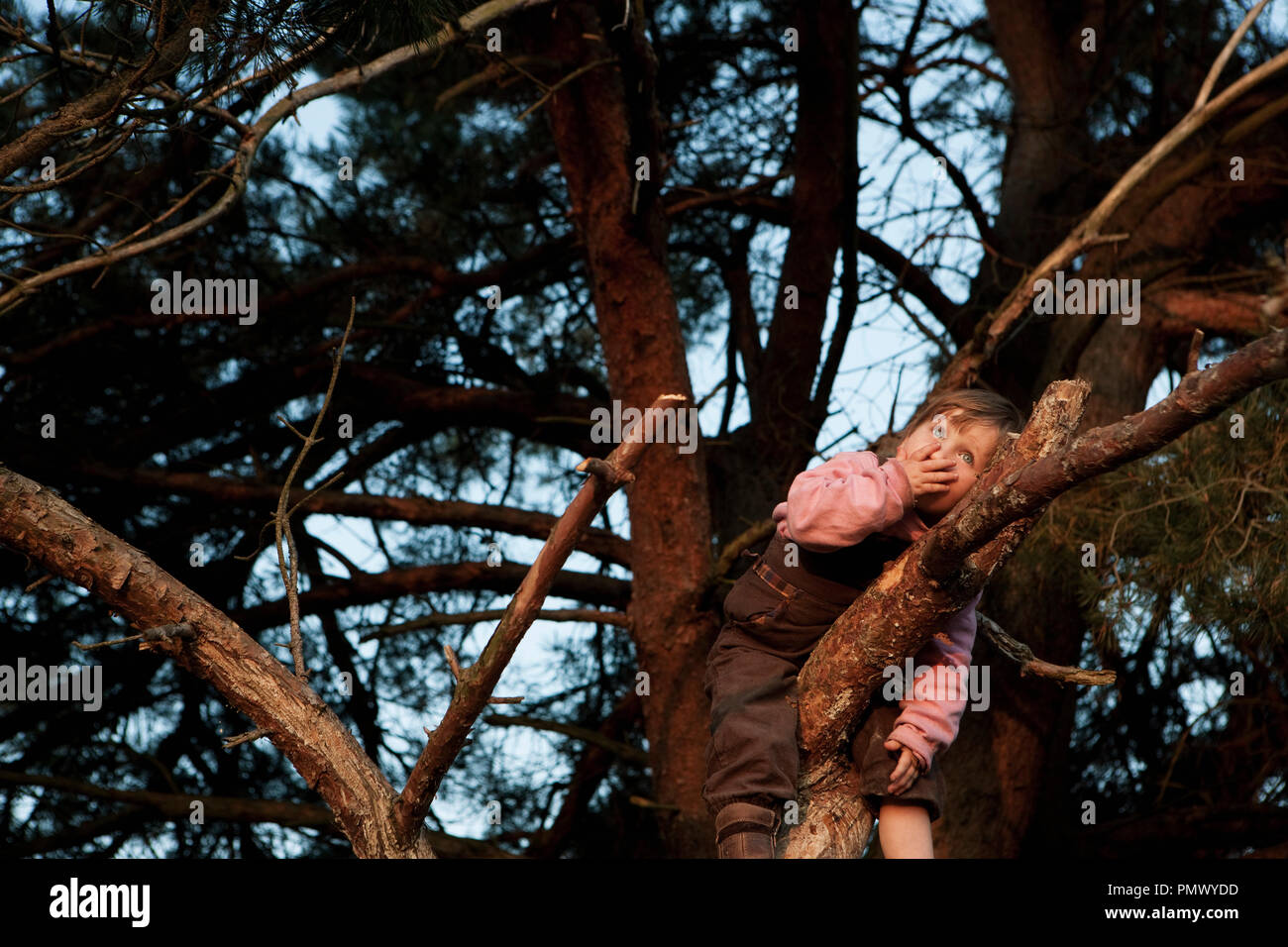Cute girl climbing tree Banque D'Images