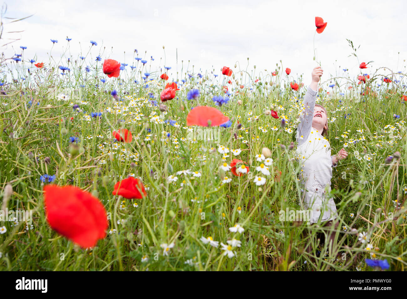 Fille jouant dans le champ de fleurs sauvages Banque D'Images