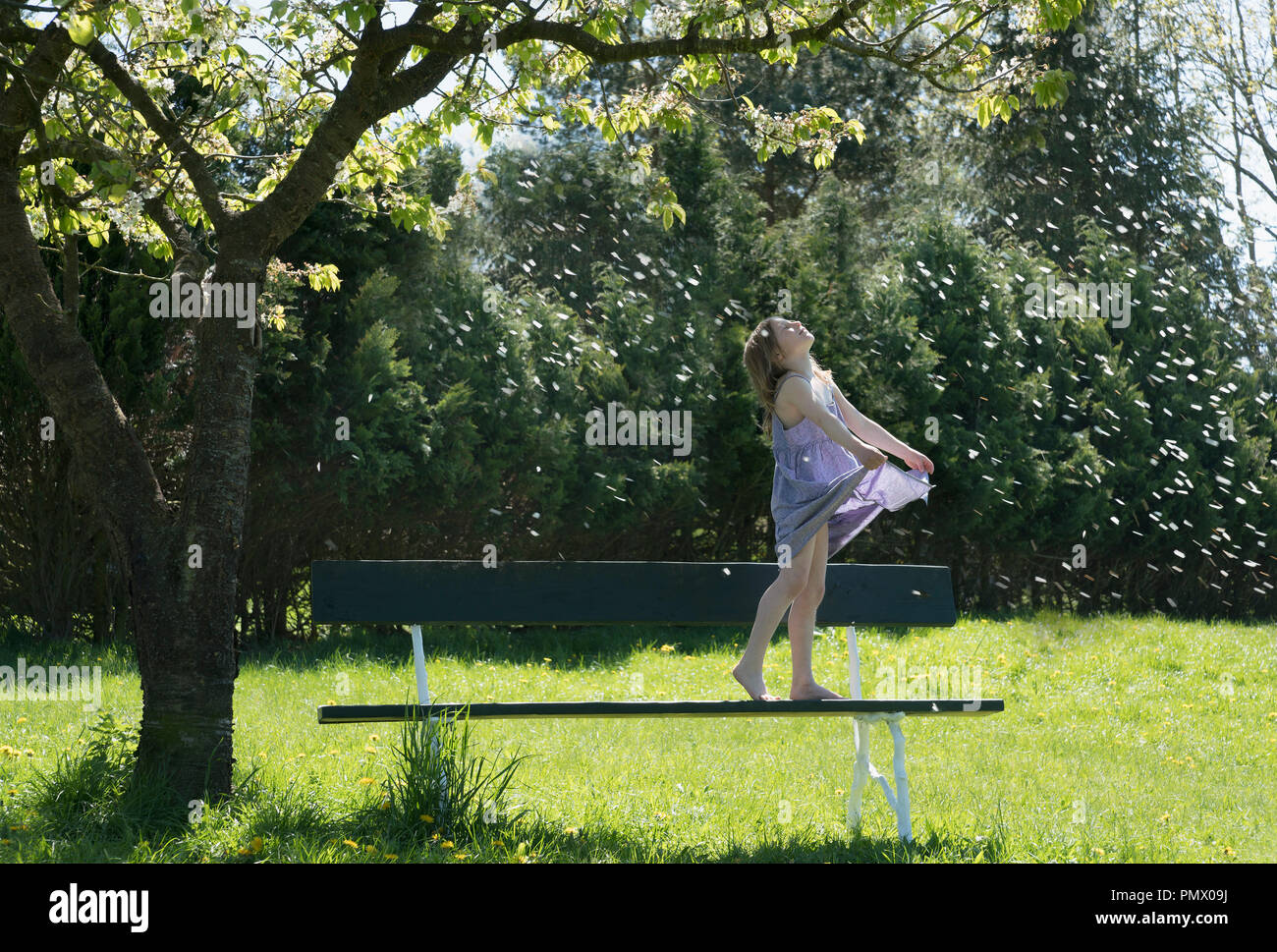 Carefree girl sur l'établi en vertu de l'arbre de printemps à la chute des fleurs de printemps Banque D'Images