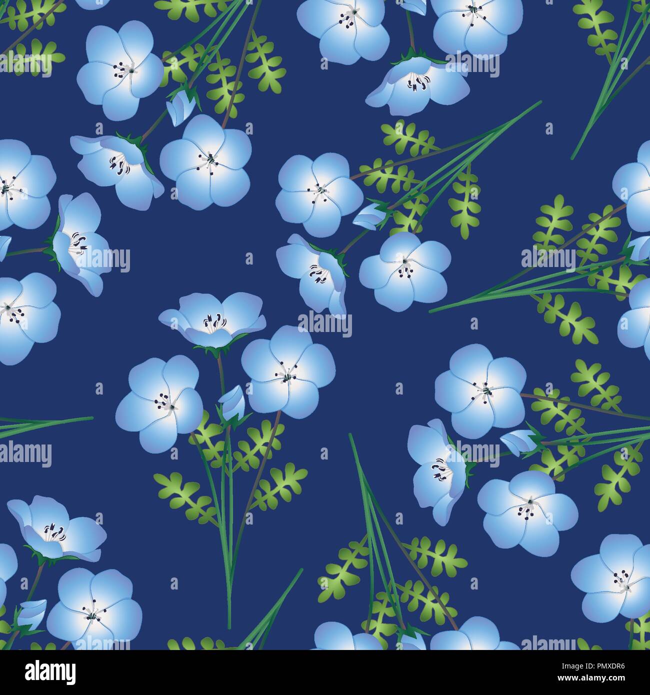 Nemophila Bebe Bleu Yeux Fleur Sur Fond Indigo Vector Illustration Image Vectorielle Stock Alamy