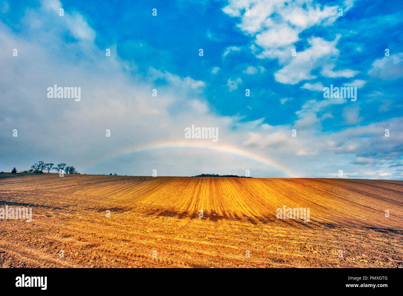 Semi-circulaire complète arc-en-ciel sur champ labouré par un après-midi ensoleillé dans la région de Angus Scotland, UK avec des arbres et des bâtiments de ferme sur l'horizon. Banque D'Images