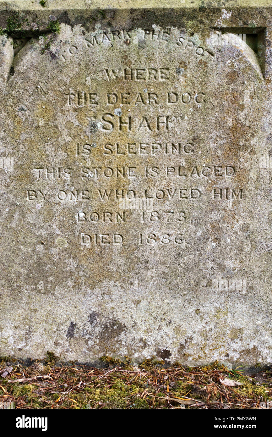 Maison Tresillian, Newquay, Cornwall, UK. Une pierre tombale du chien dans le cimetière pour animaux de la famille Banque D'Images