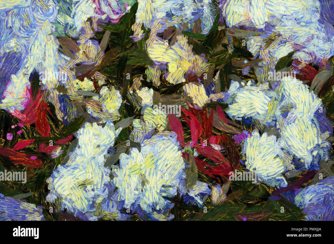 Chrysanthème (l'Chrysánthemum ) - genre de plantes herbacées annuelles ou vivaces, de la famille des Astéracées, orchidées, roses Banque D'Images