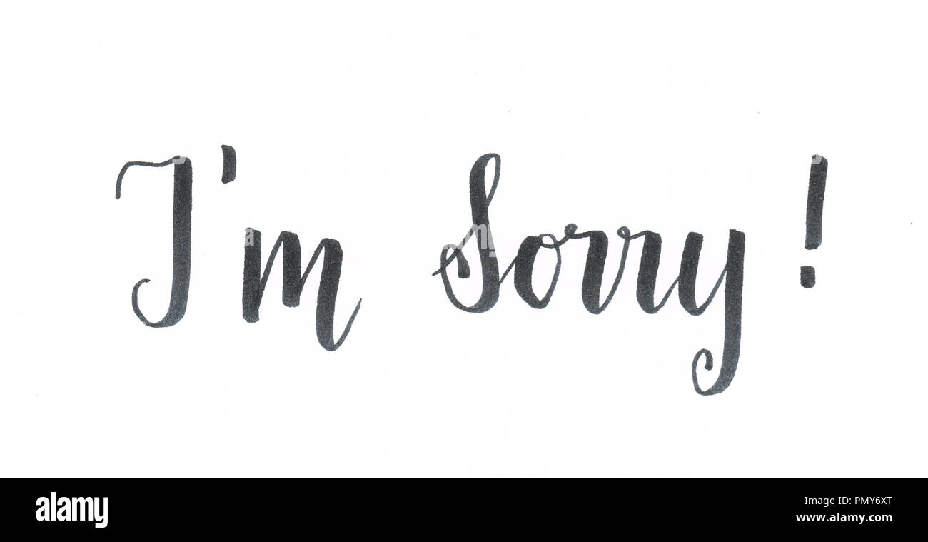 Je suis désolé - excuses inscription en lettrage main noire Banque D'Images Je suis désolé - excuses inscription en lettrage main noire Banque D'Images