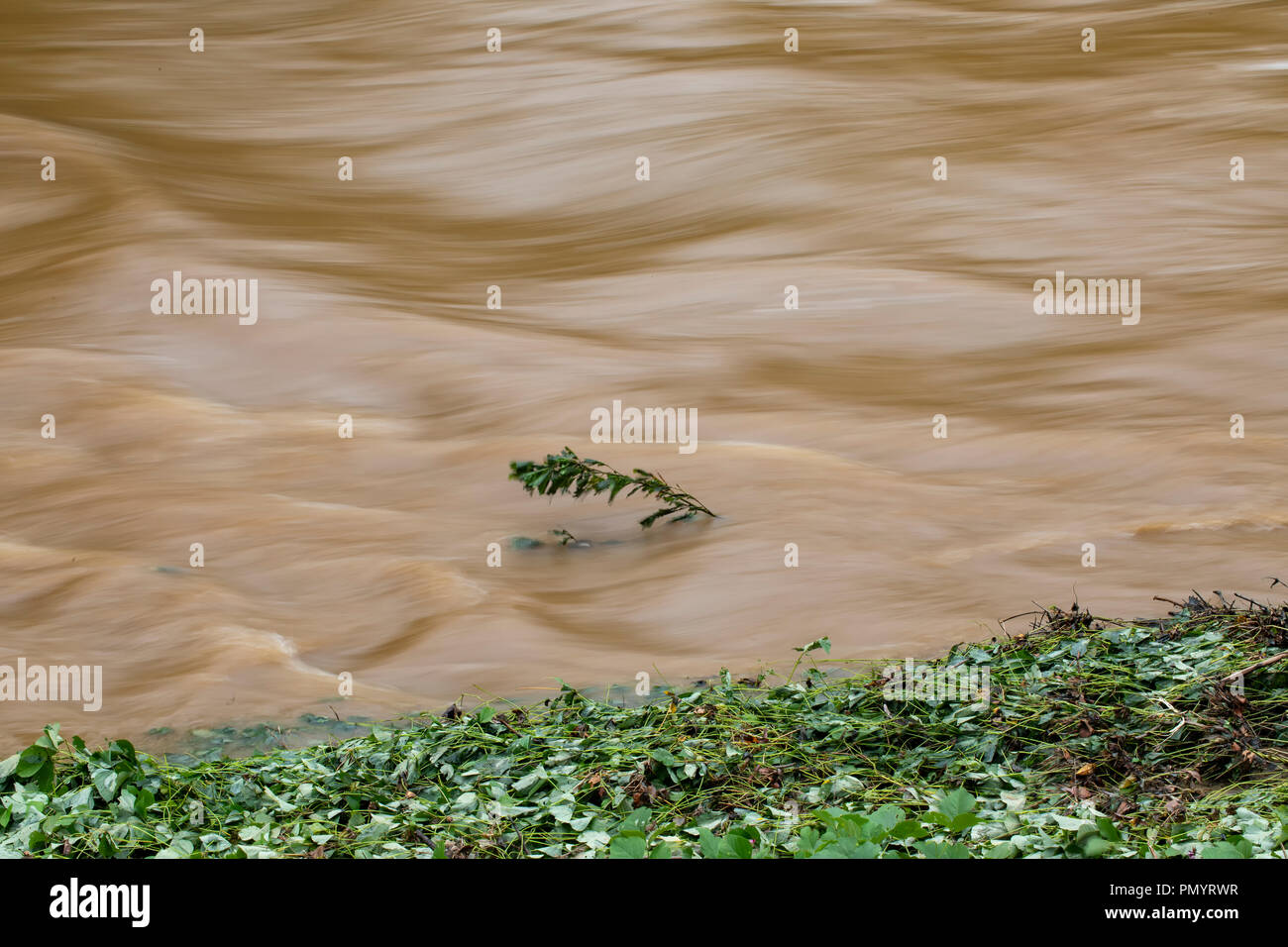 Readdies River rushes passé des buissons dans North Wilkesboro après les inondations pluies de l'ouragan Florence en ce moment-exposition shot. Banque D'Images