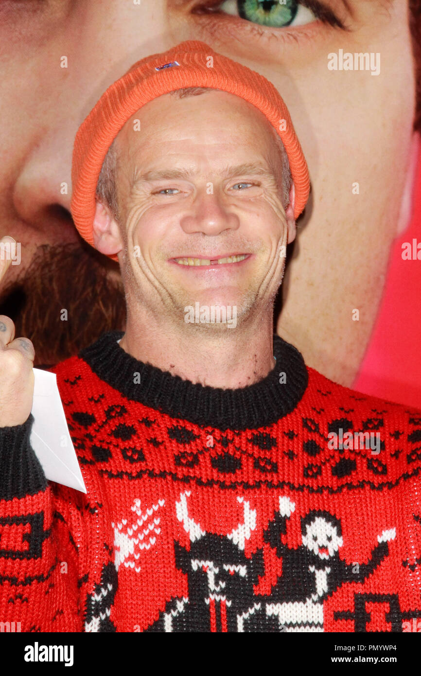 Brocante de Red Hot Chili Peppers Band au Los Angeles Premiere de Warner Bros Pictures' 'Elle'. Arrivants tenue à la Directors Guild of America à Los Angeles, CA, 12 décembre 2013. Photo par Joe Martinez / PictureLux Banque D'Images