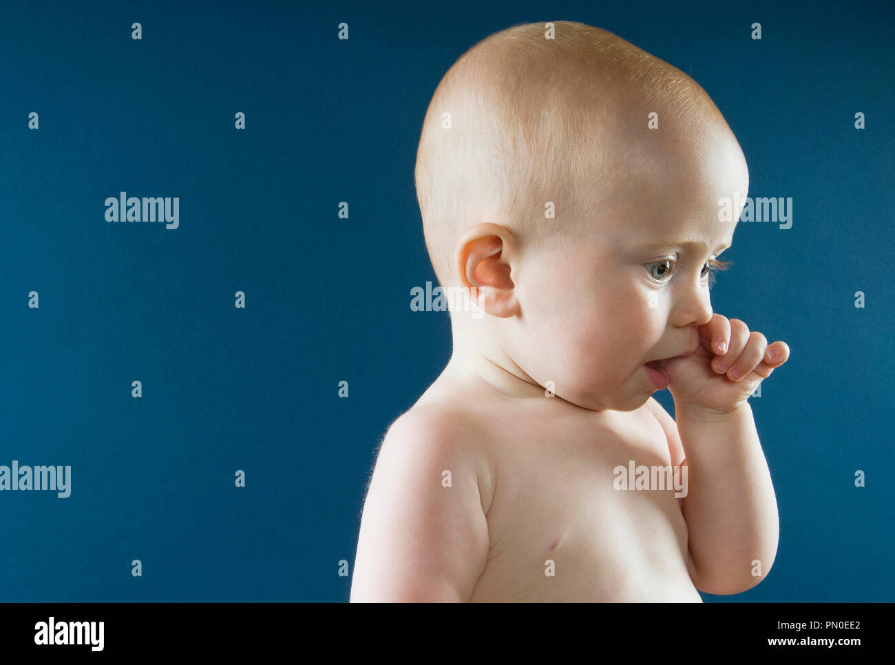 Portrait D Un Bebe De Un An Sucant Son Pouce Photo Stock Alamy