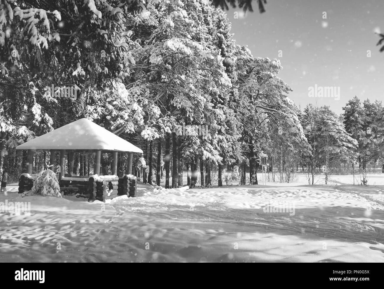 Gazebo en bois monochrome en forêt en hiver journée ensoleillée Banque D'Images