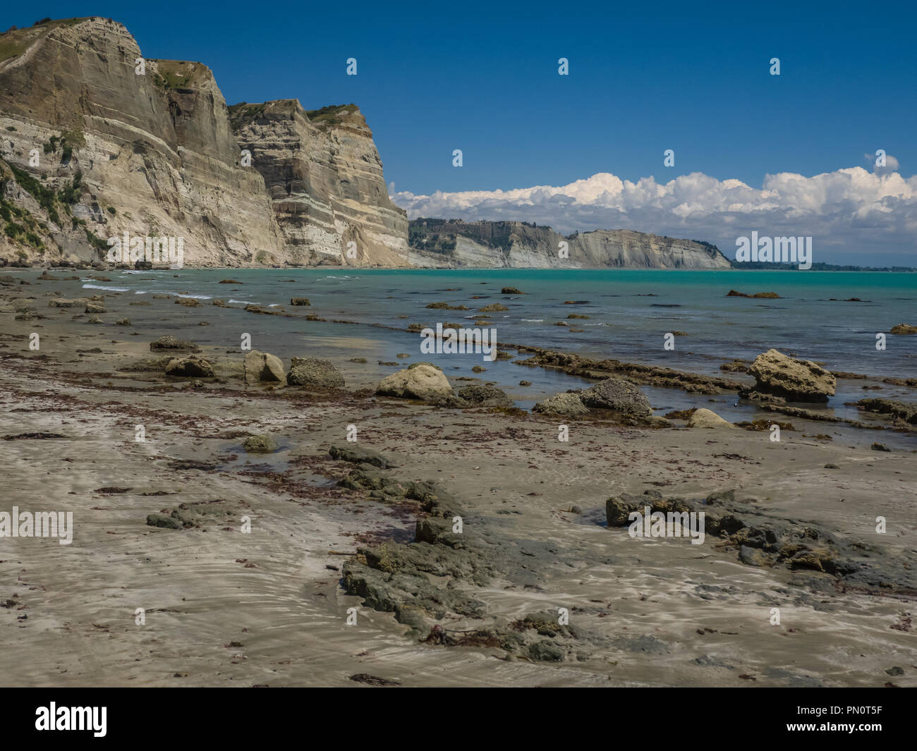 Sur une belle journée ensoleillée, marée basse expose des crêtes pierreuses dessous des falaises le long de Cape Kidnappers sur Hawkes Bay en Nouvelle Zélande. Banque D'Images