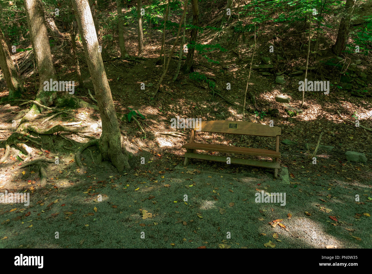 Taughannock Falls State Park Banque D'Images