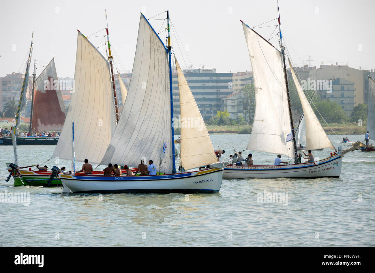 Les bateaux traditionnels du Tage. Seixal, Portugal Banque D'Images