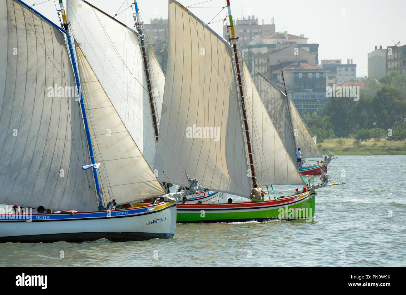 Les bateaux traditionnels du Tage. Seixal, Portugal Banque D'Images