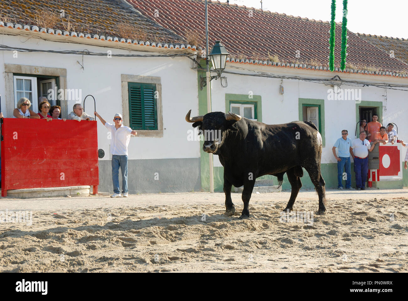 Corrida de rue (largada de Touros) à Alcochete, Portugal Banque D'Images