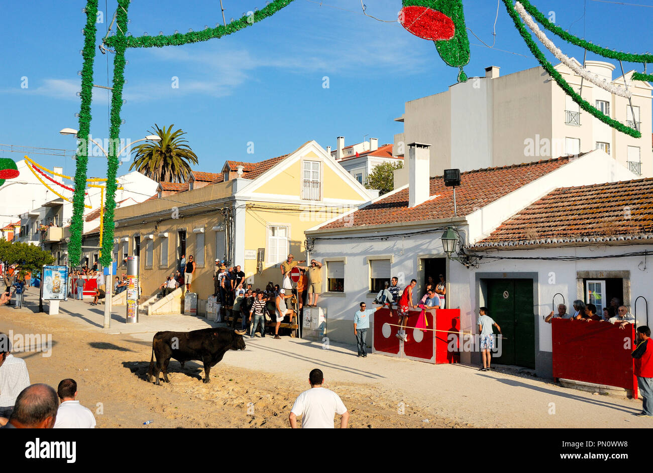 Corrida de rue (largada de Touros) à Alcochete, Portugal Banque D'Images