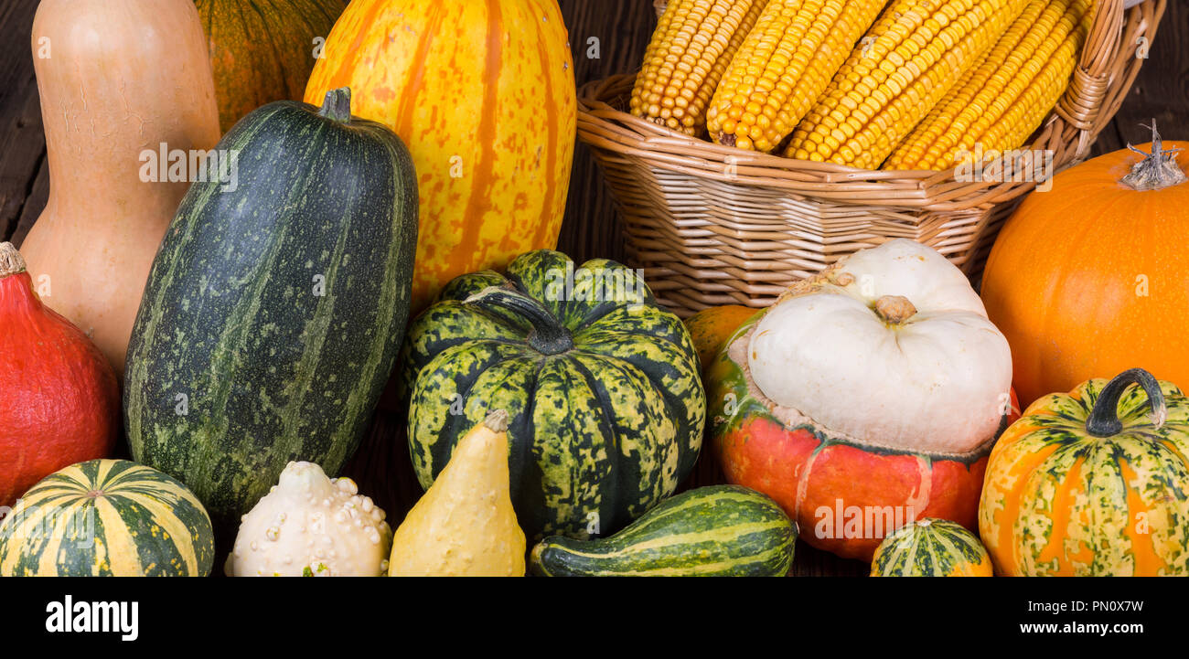 Motif de l'action de l'automne avec un panier plein d'épis de maïs et les différentes citrouilles coloré sur un fond de bois rustique Banque D'Images