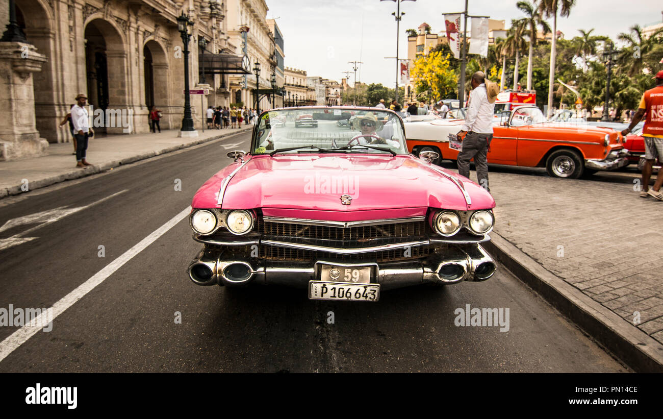 La Havane Tour Classic Cars Banque D'Images