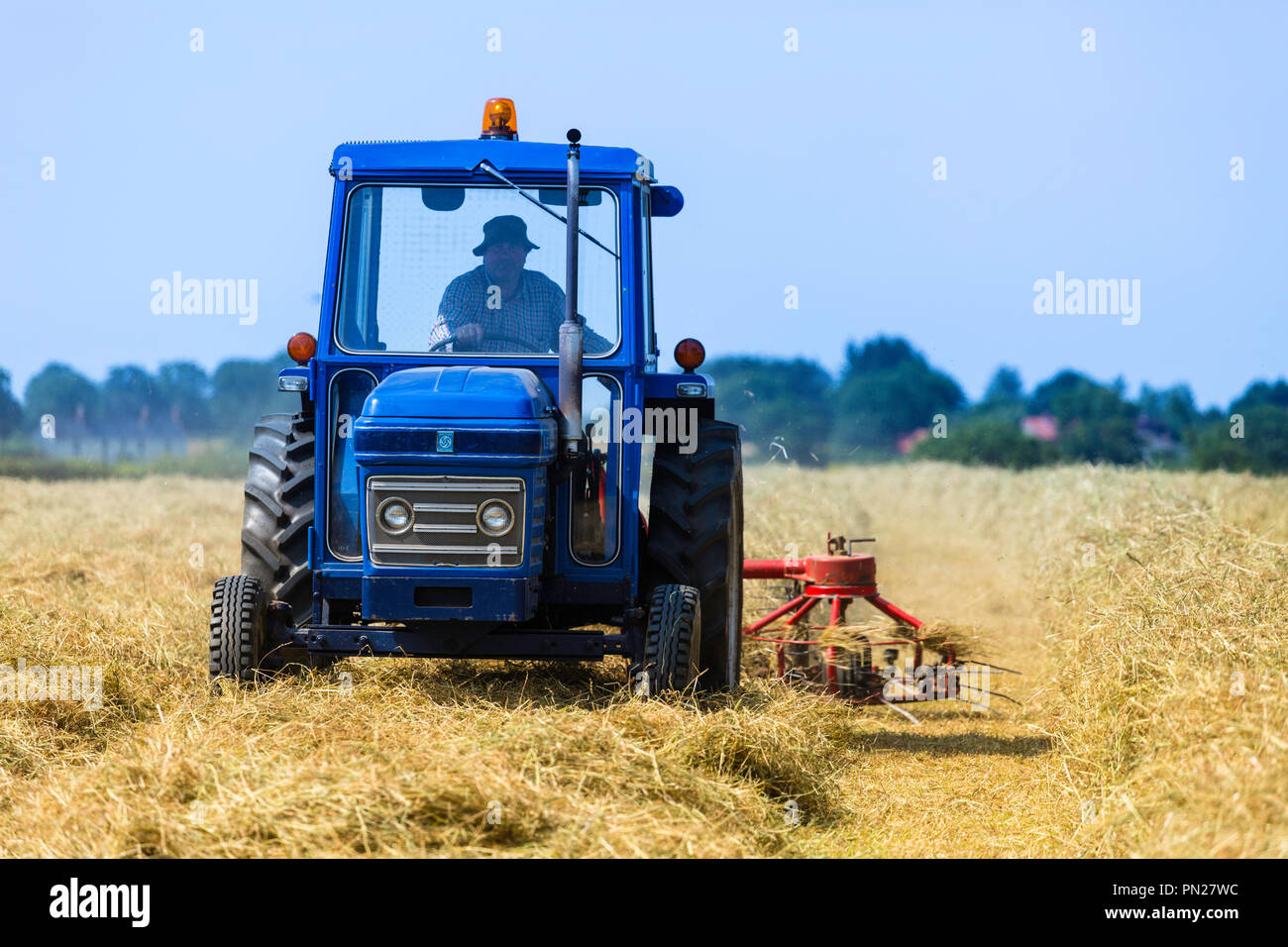 En ce qui concerne le foin pour l'aider à sécher avant de la mise en balles. Banque D'Images