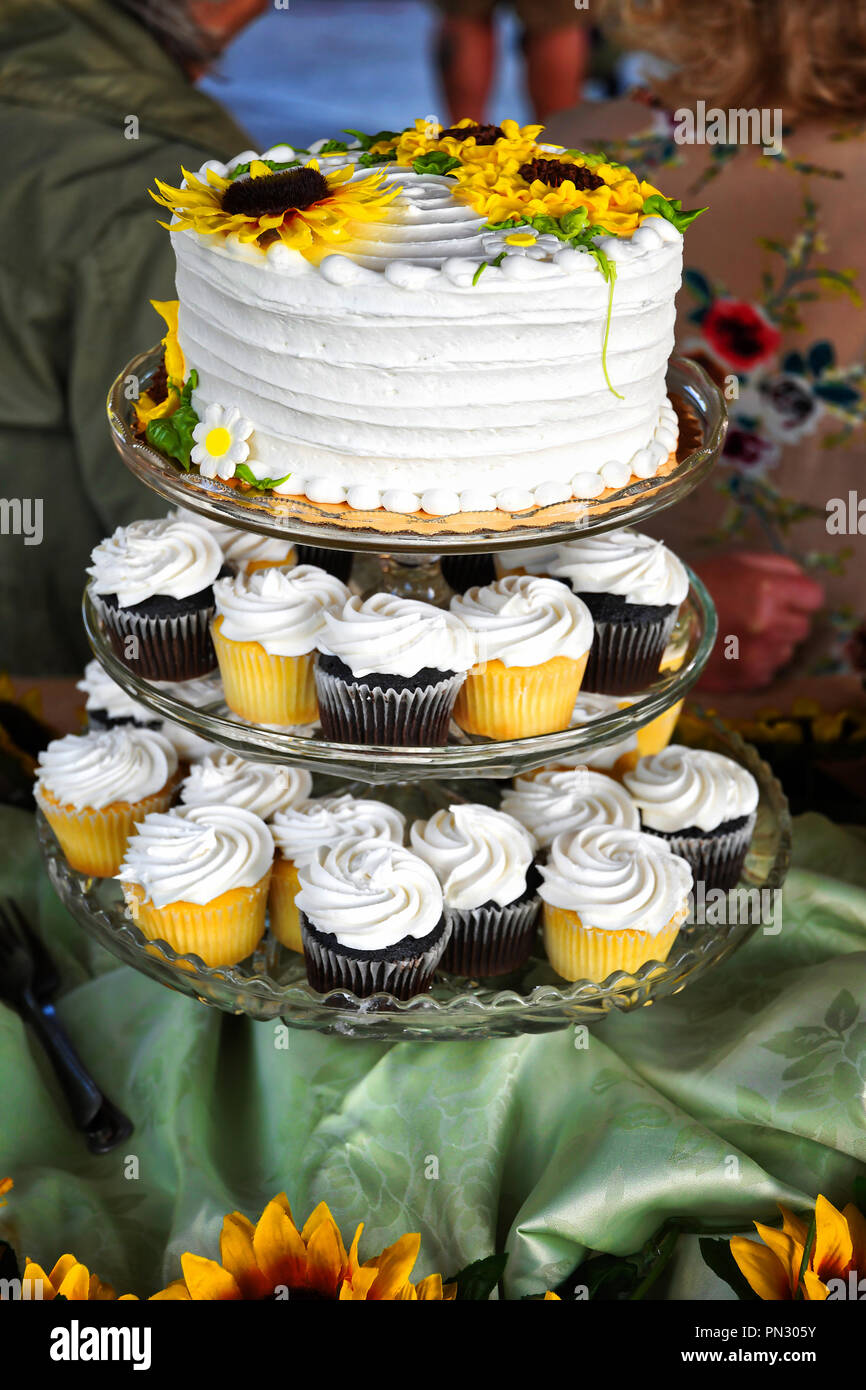 Le Gateau Avec Glacage Glacage Blanc Tournesol Et Cupcakes Photo Stock Alamy