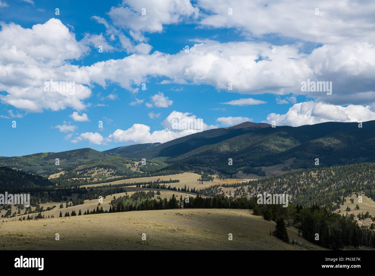 Vaste paysage de gamme ouverte, forêt, vallées, montagnes et nuages et spectaculaire sous ciel bleu - Valle Vidal et peu Costilla Peak au Nouveau Mexique Banque D'Images