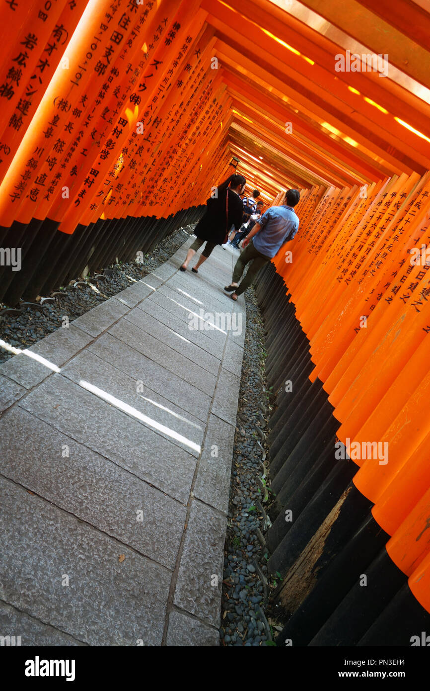 Les gens qui marchent entre red torii gates, sanctuaire Fushimi Inari, Kyoto, Japon. Aucune communication ou MR Banque D'Images