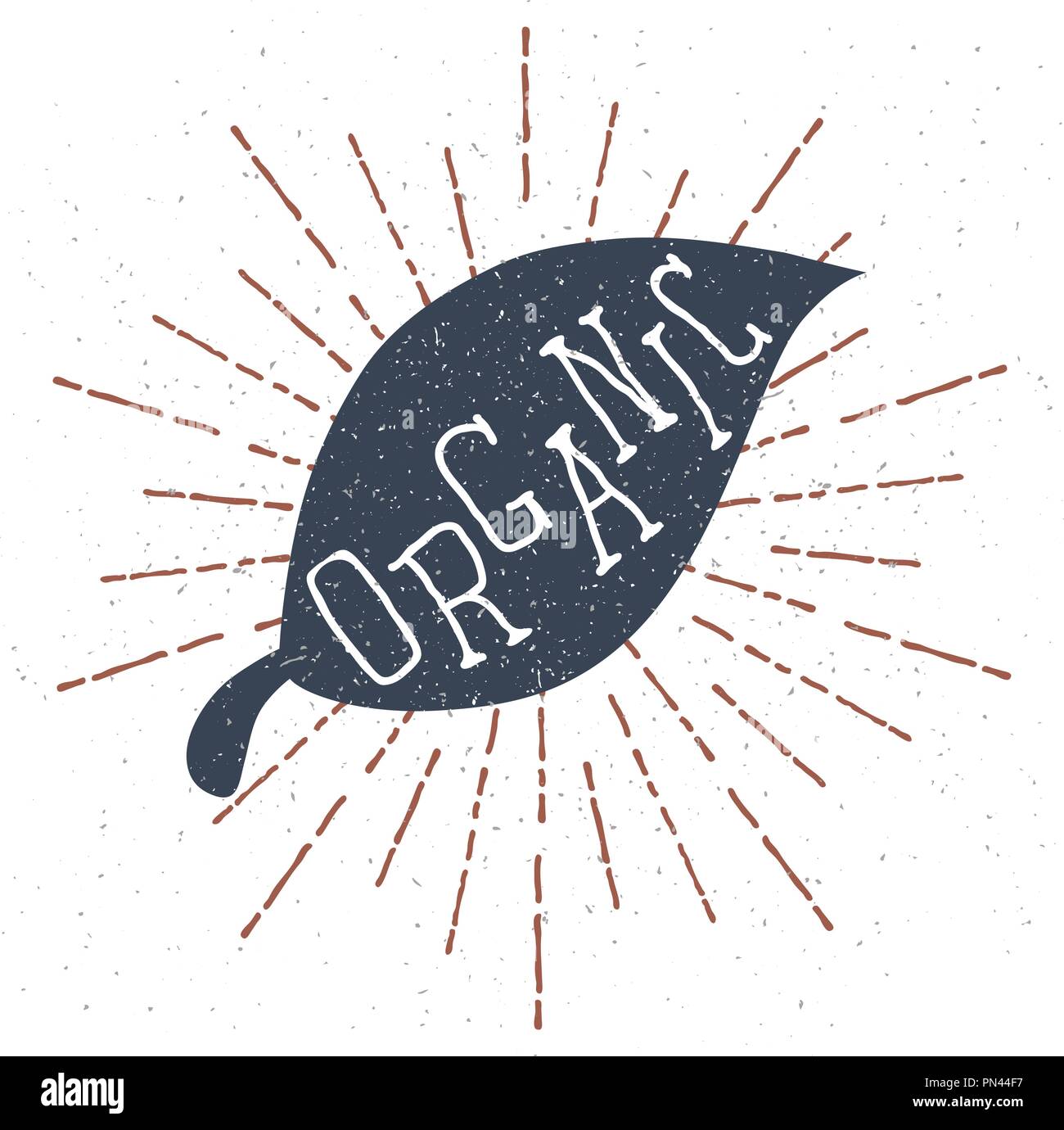 L'étiquette à la main avec des feuilles texturées et organique le lettrage. Vector Illustration de Vecteur