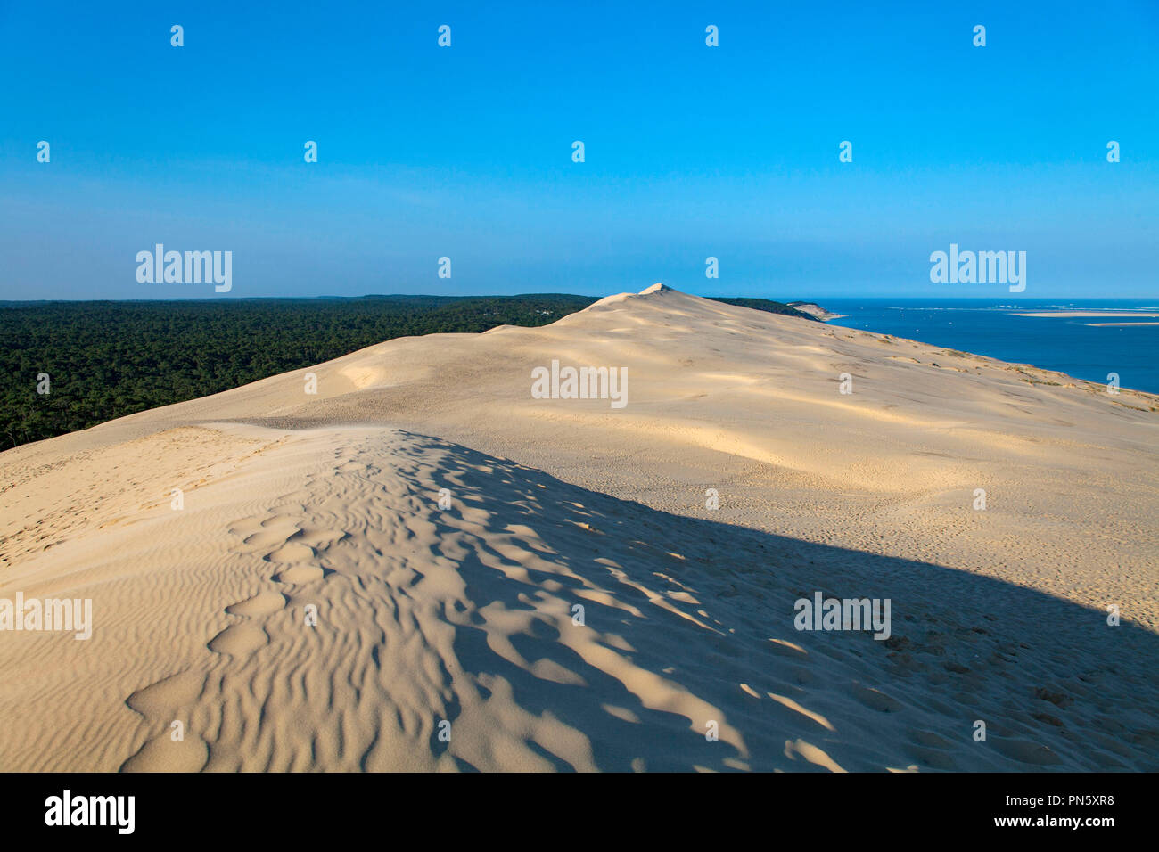 Vue aérienne de la dune du Pyla dans le bassin d'Arcachon. Aperçu de la dune et de la forêt des Landes (pas disponible pour la production de cartes postales) Banque D'Images