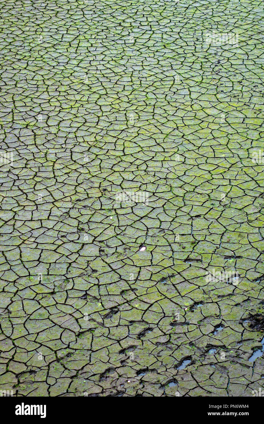 Réservoir Woodhead en sécheresse près de Glossop, Royaume-Uni Banque D'Images