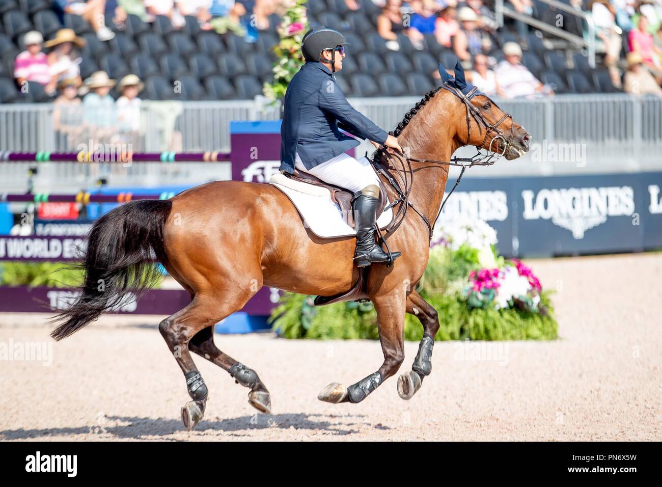 Diego Javier Vivero Viteri. Cerano vh. Dingenshof ECU. Show Jumping. Deuxième équipe et individuels d'achèvement. Journée 1. Jour 9. Les Jeux équestres mondiaux. WEG 2018 Tryon. La Caroline du Nord. USA. 20/09/2018. Banque D'Images