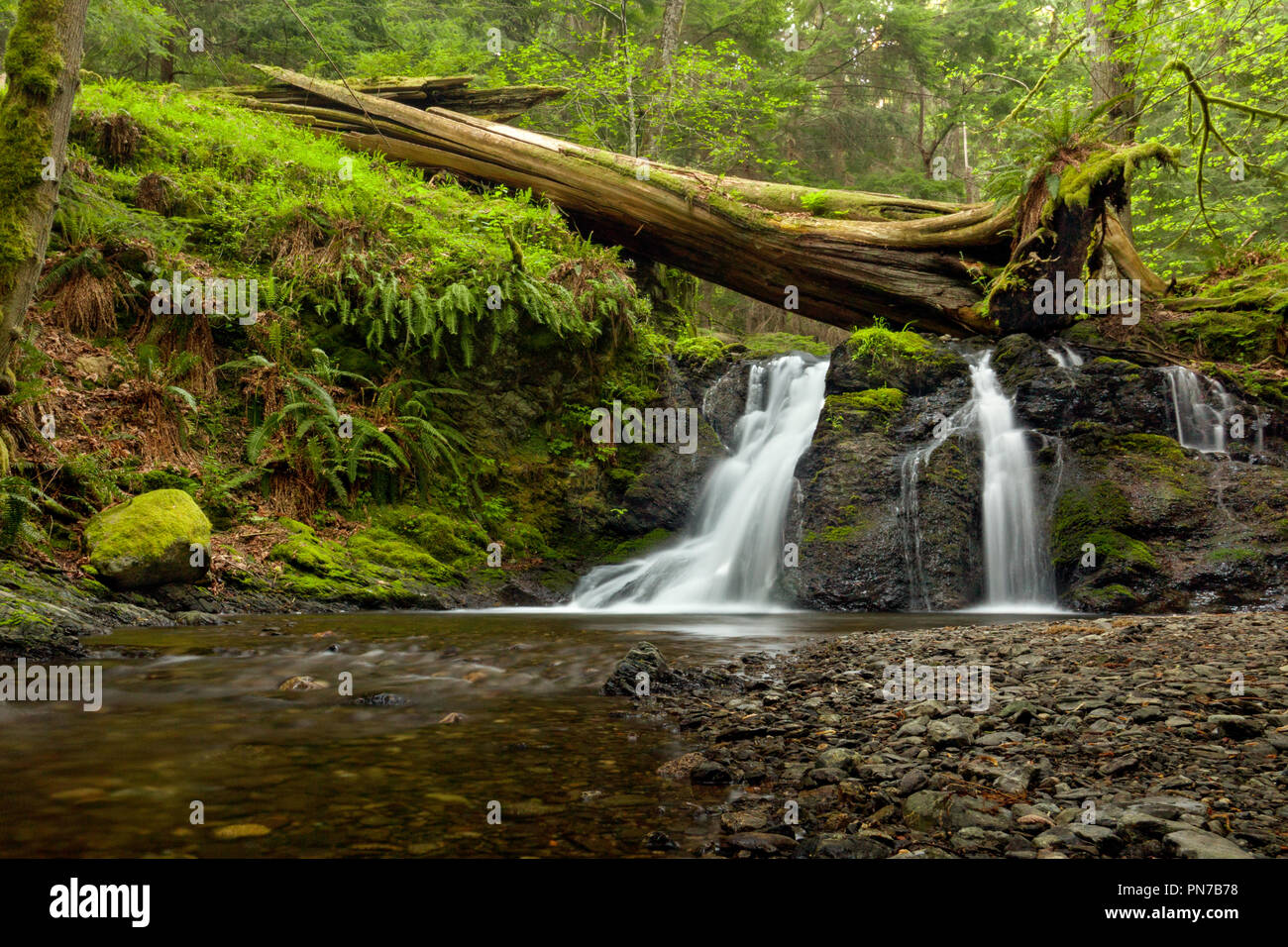 Chutes rustique sur Orcas Island dans les îles San Juan, l'état de Washington Banque D'Images