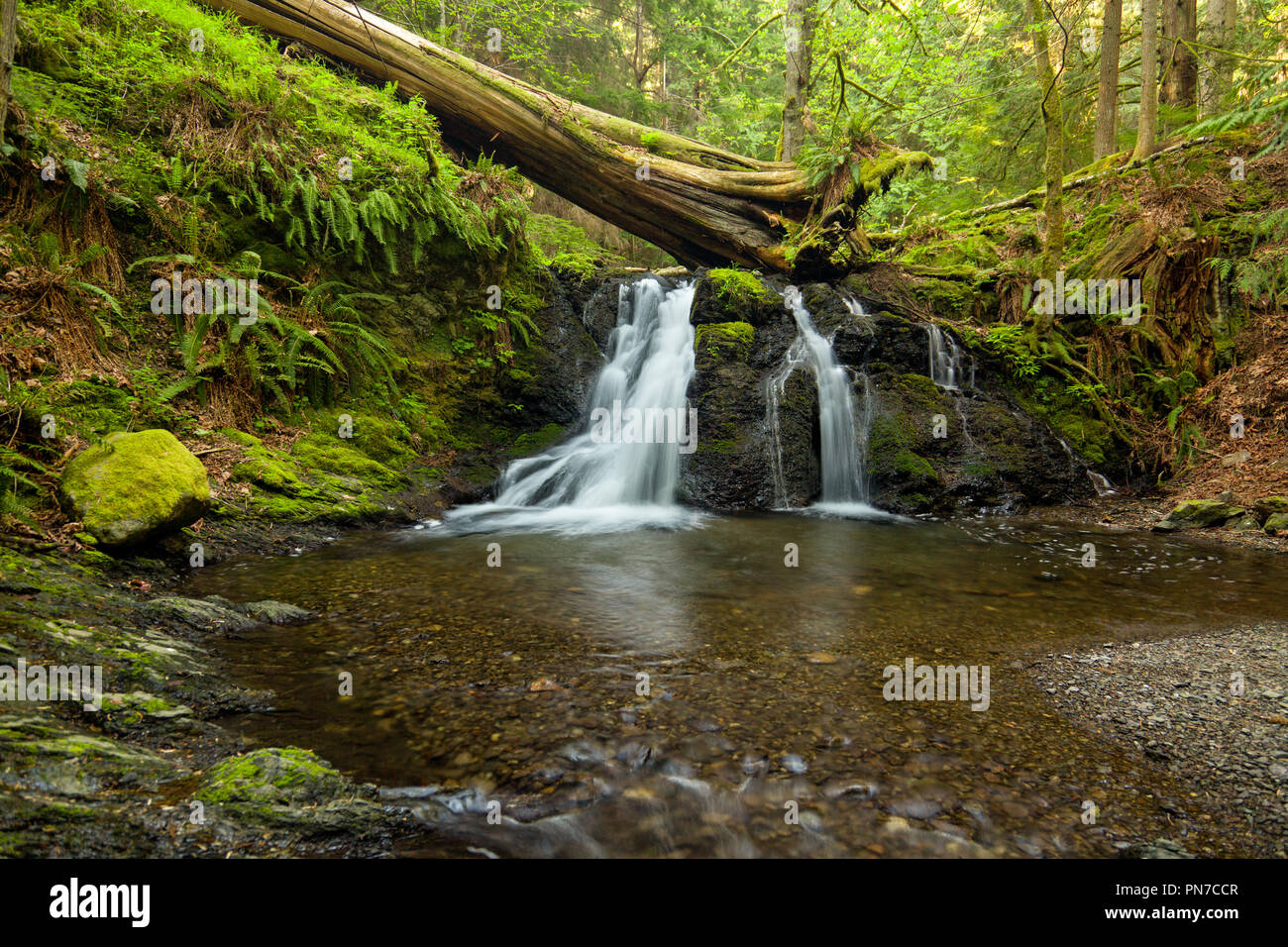 Chutes rustique sur Orcas Island dans les îles San Juan, l'état de Washington Banque D'Images