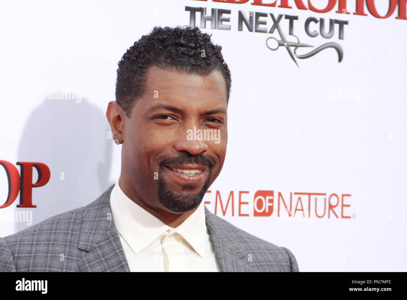 Deon Cole à la première de Warner Bros Pictures' 'Barbershop : La prochaine Cut' tenue à l'Théâtre chinois de Grauman à Hollywood, CA, le 6 avril 2016. Photo par Joe Martinez / PictureLux Banque D'Images