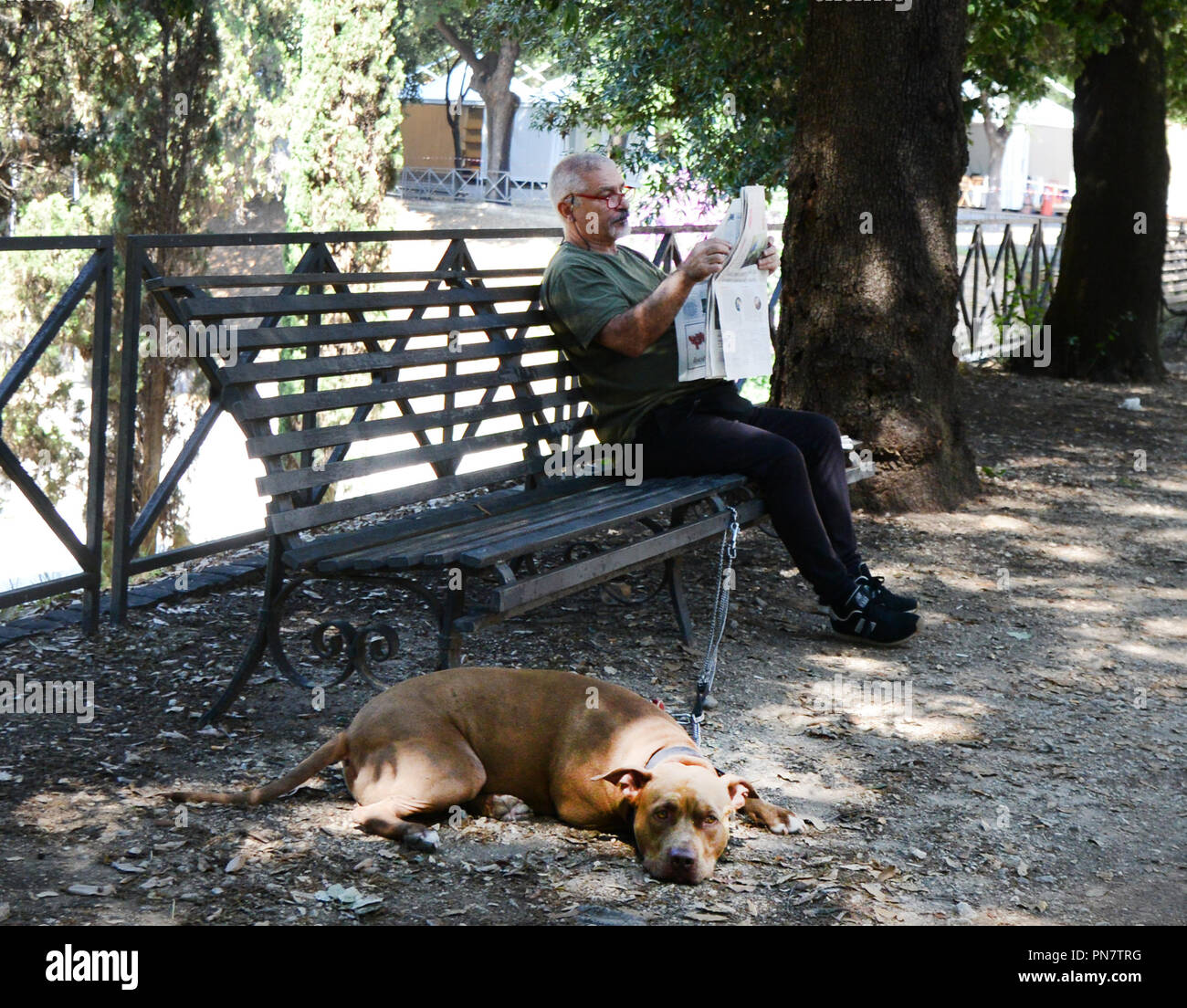 La lecture du journal du matin à l'Adrian Park à Rome. Banque D'Images