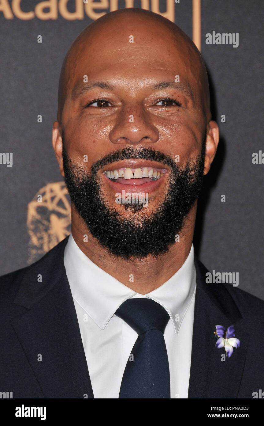 À la commune 2017 Creative Arts Emmy Awards - Jour 1 tenue à la Microsoft Theatre de Los Angeles, CA le samedi 9 septembre 2017. Photo de RPAC/PictureLux 33424 Numéro de référence de dossier 036THA pour un usage éditorial uniquement - Tous droits réservés Banque D'Images