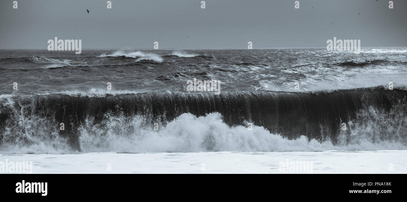 Des vagues dangereuses de l'Océan Atlantique sur une plage de sable volcanique noir près du village de Reynisfjara qui jouit V'k i Myrdal, Sud de l'Islande Banque D'Images