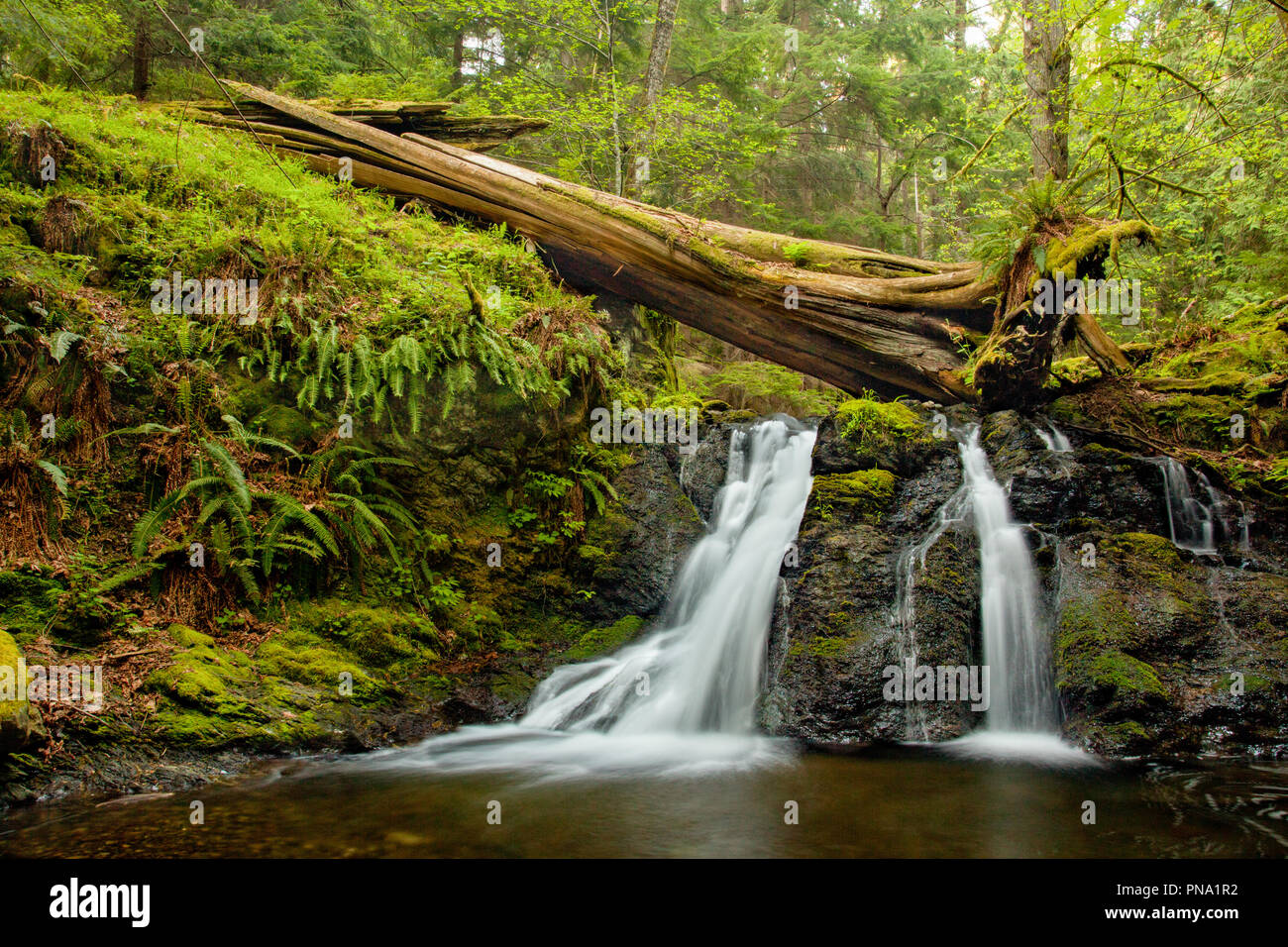 Chutes rustique sur Orcas Island dans les îles San Juan, l'état de Washington Banque D'Images
