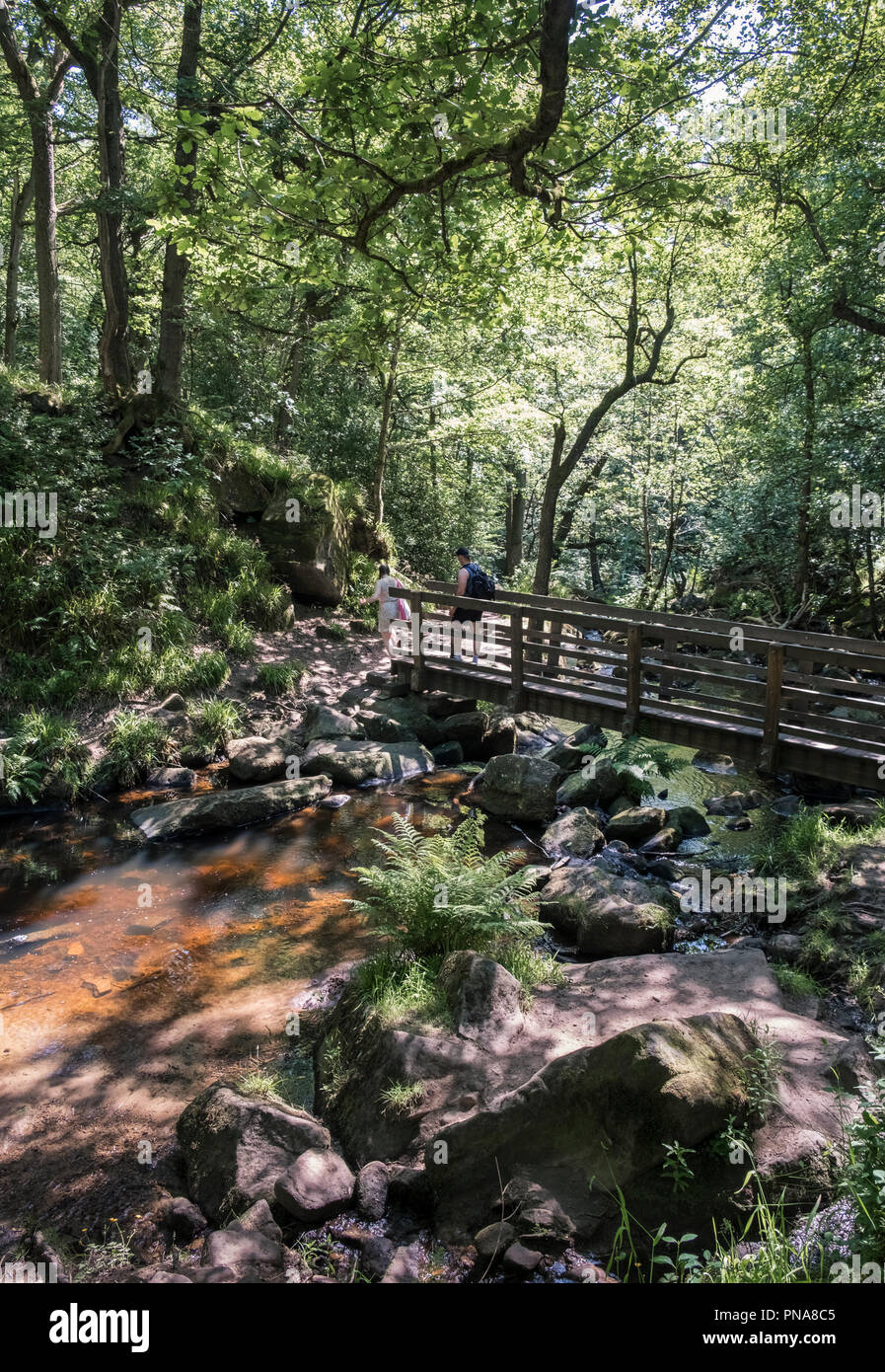 Young man and woman crossing pont de bois sur Burbage Brook qui passe Padley Gorge, parc national de Peak District, Derbyshire, Royaume-Uni Banque D'Images