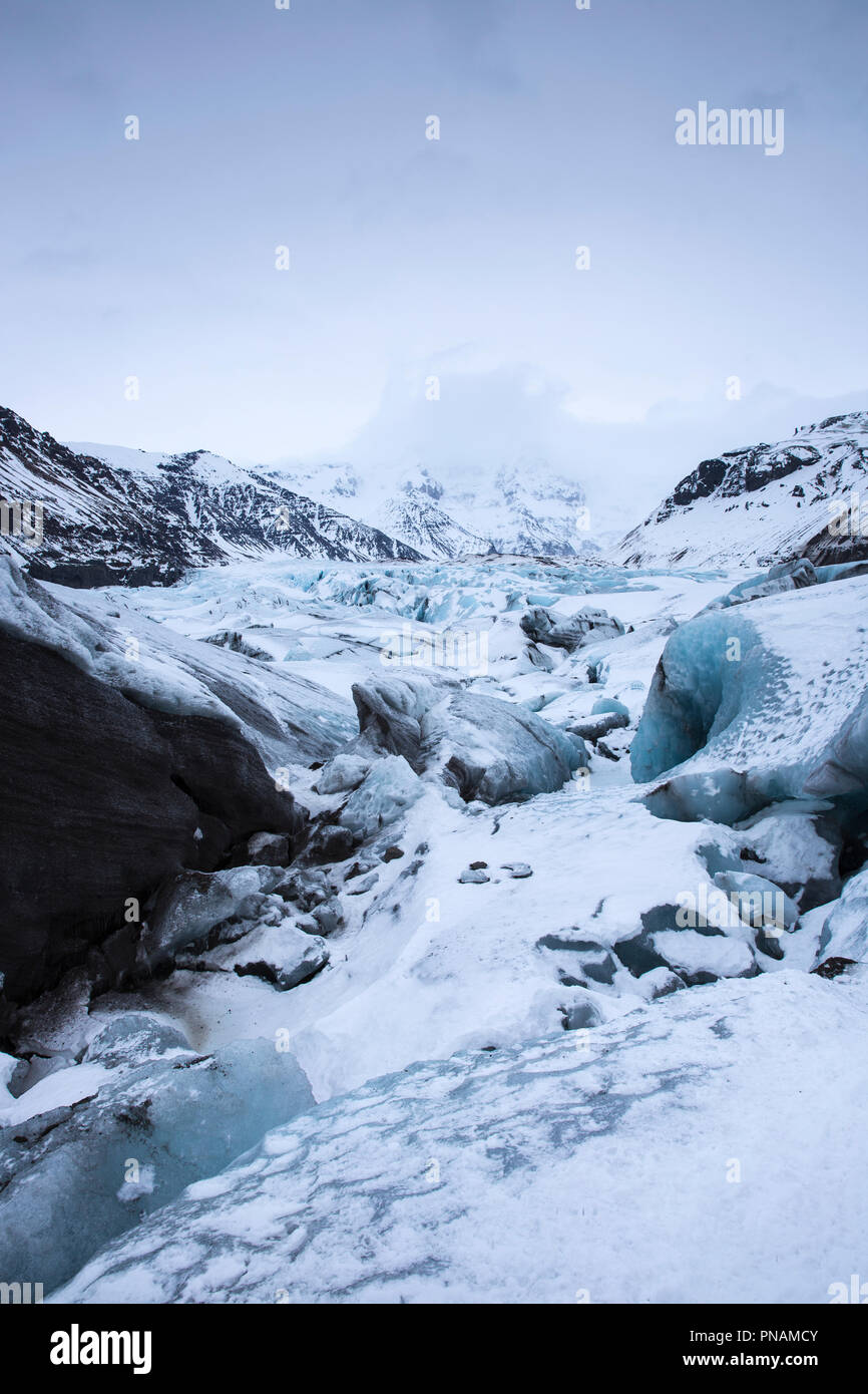 Close up montrant langues glaciaires d'un glacier Svinafellsjokull glacier Vatnajokull, sortie du sud de l'Islande Banque D'Images