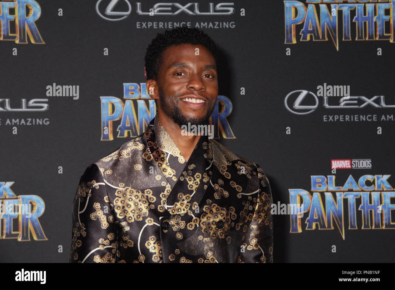 Chadwick Boseman 01/29/2018 La première mondiale de 'Black Panther' tenue à l'Dolby Theatre de Los Angeles, CA Photo par Izumi Hasegawa / HNW / PictureLux Banque D'Images