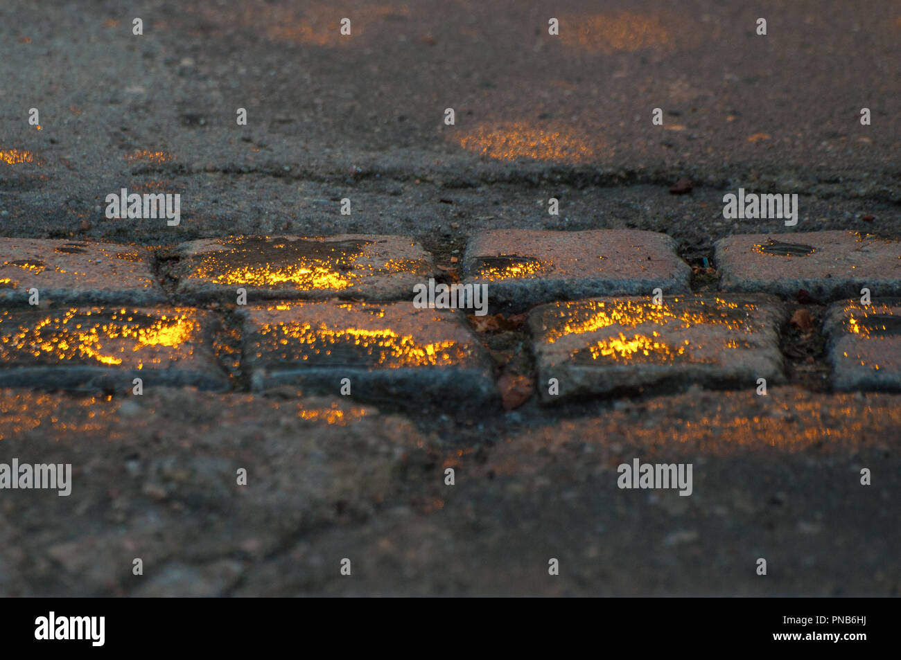 Un trottoir baigné dans l'or gris, recouvert de pavés avec des gouttelettes de pluie qui reflètent le soleil Banque D'Images
