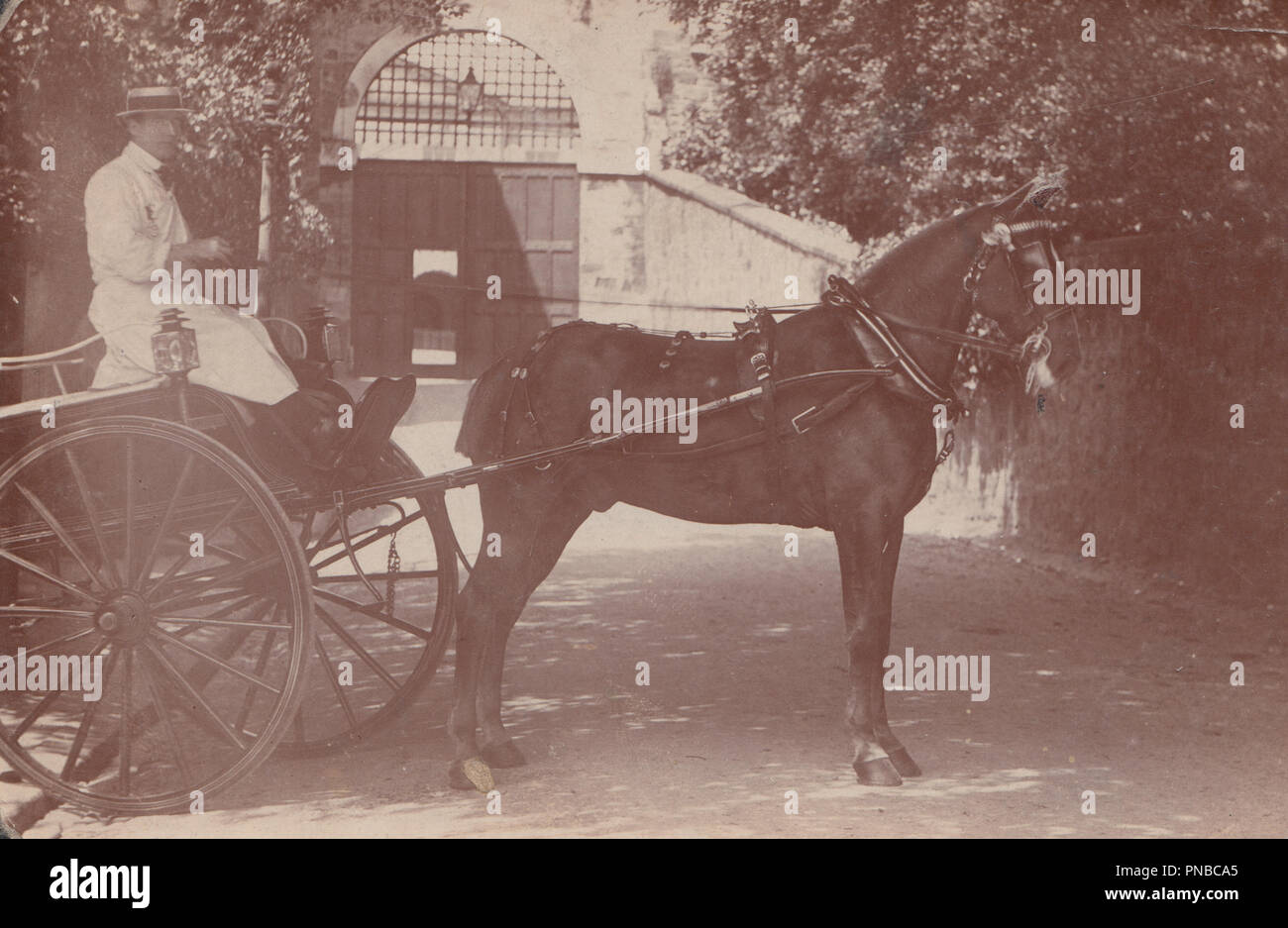 * Vintage Photo d'un cheval et de livraison Panier. Peut-être situé en dehors de l'entrée d'une prison ou un établissement militaire. Banque D'Images