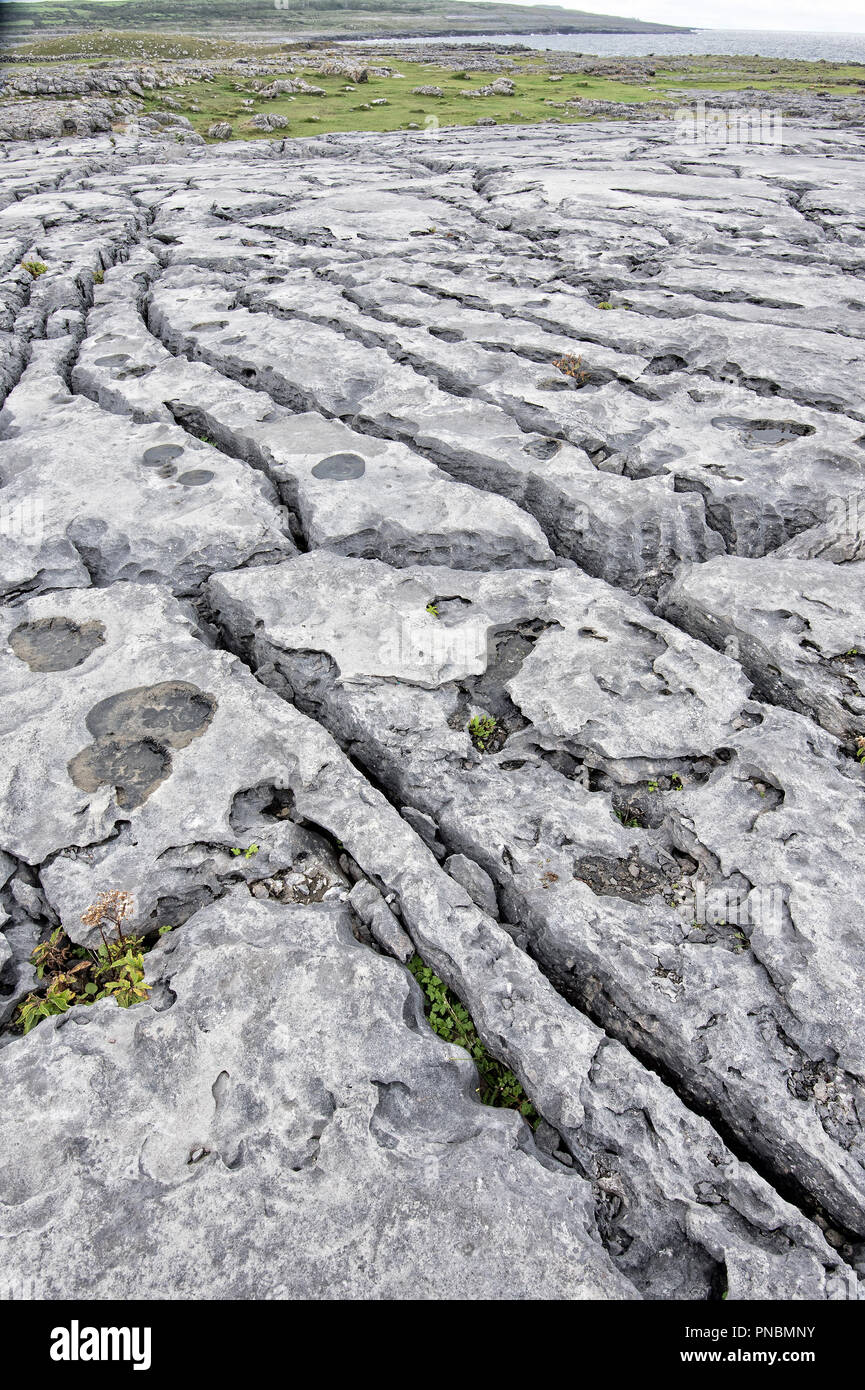 Le Burren Banque D'Images