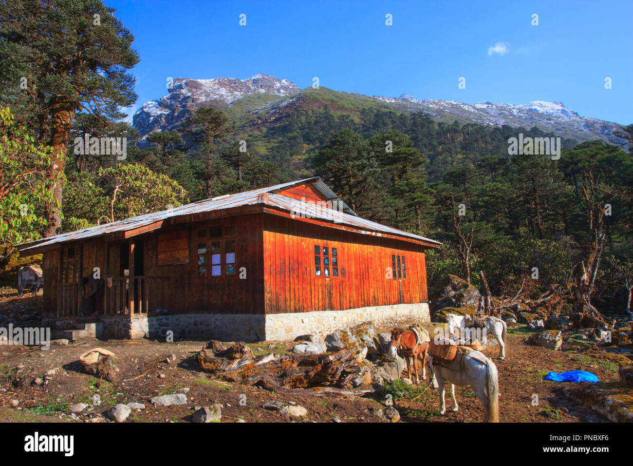 Trekkeurs Hut - dans Goecha La Route de Trekking - Sikkim (Inde) Banque D'Images