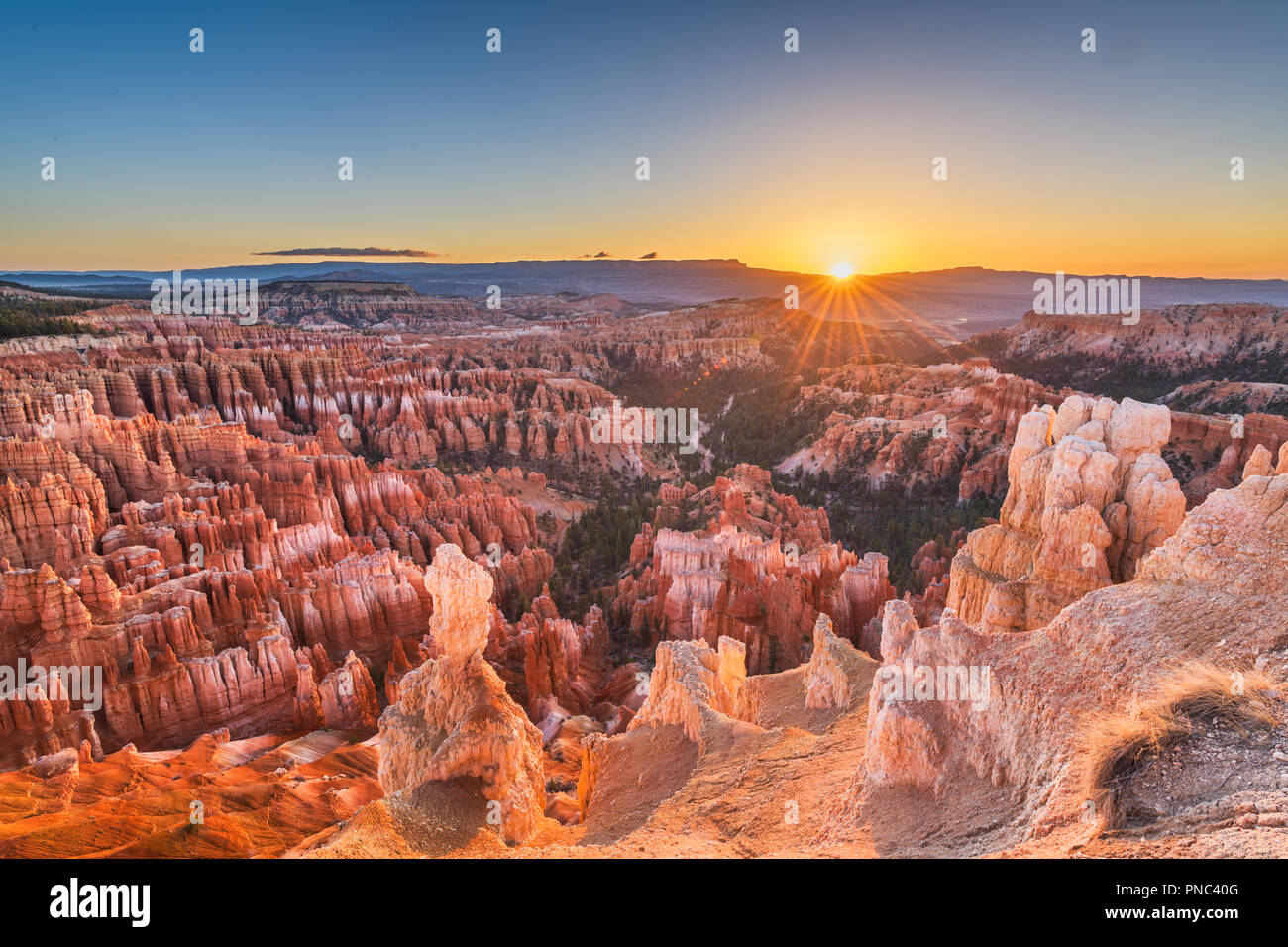 Bryce Canyon National Park, Utah, USA à l'aube. Banque D'Images