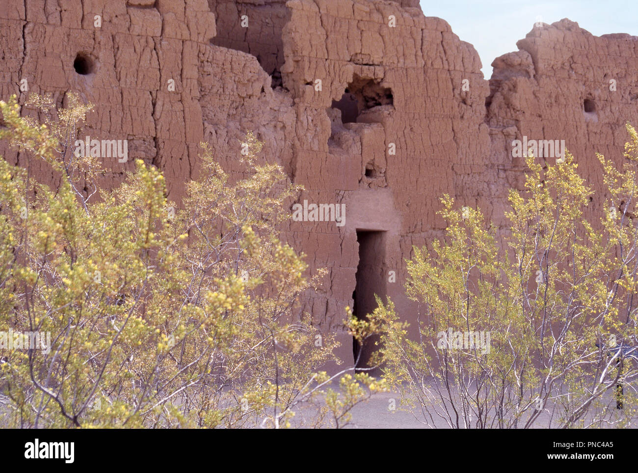 Hohokam ruines de Casa Grande, avec trous d'observatoire astronomique, l'Arizona. Photographie Banque D'Images