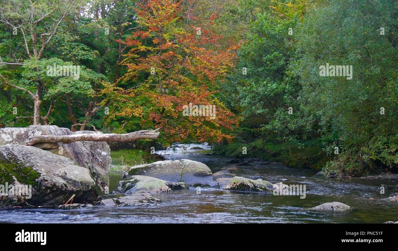 Beddgelert Banque D'Images