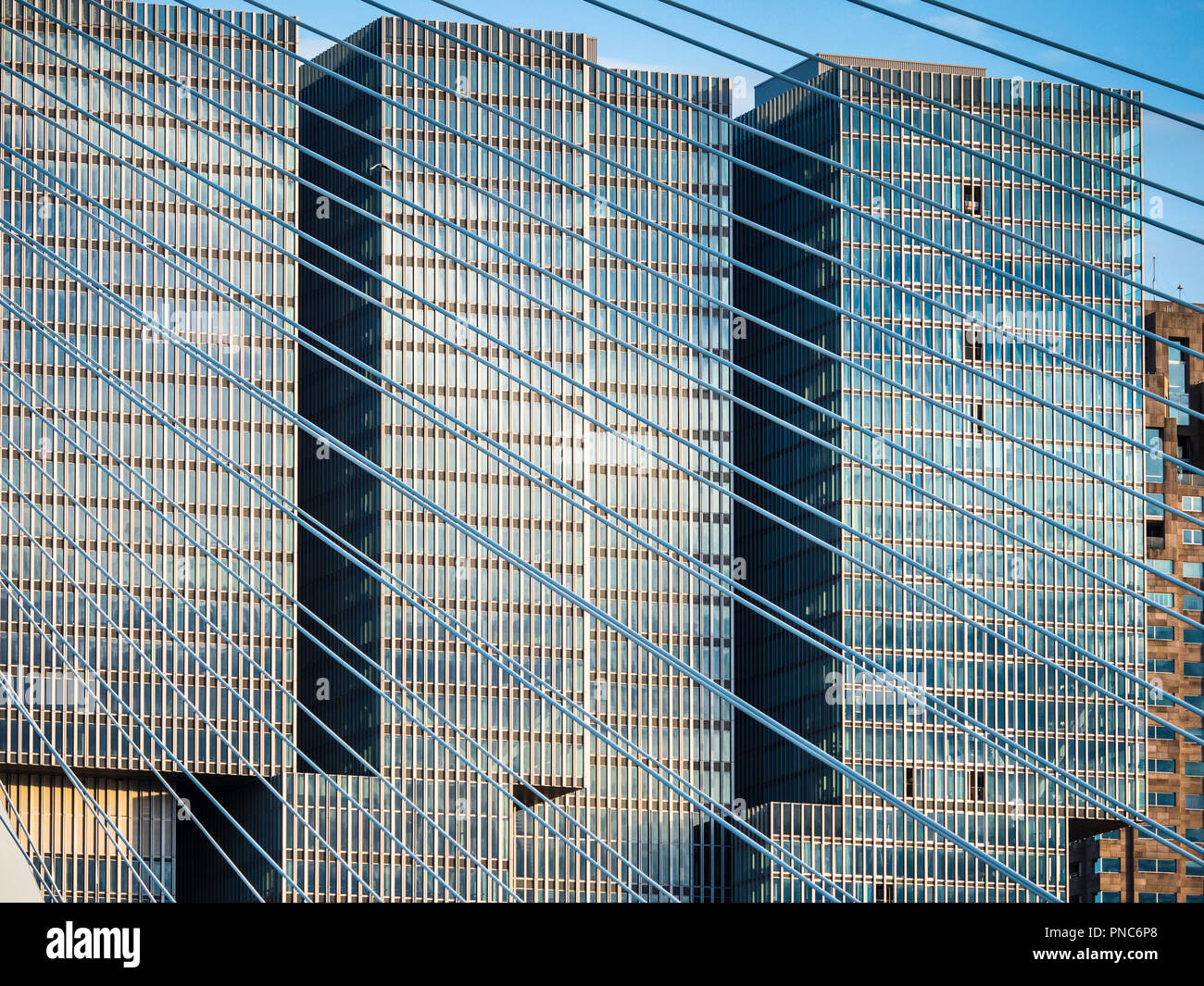 L'architecture de Rotterdam Rotterdam - bâtiment se trouve derrière le monument pont Erasmus au centre de Rotterdam, NL. De Rotterdam a ouvert en 2013. Banque D'Images