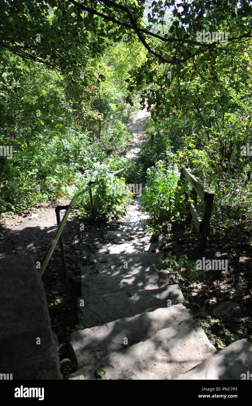 Jardin haut de gamme et résidentiel et boisé terrain avec accès à la plage située sur le Lac Michigan Lac paisible. Banque D'Images