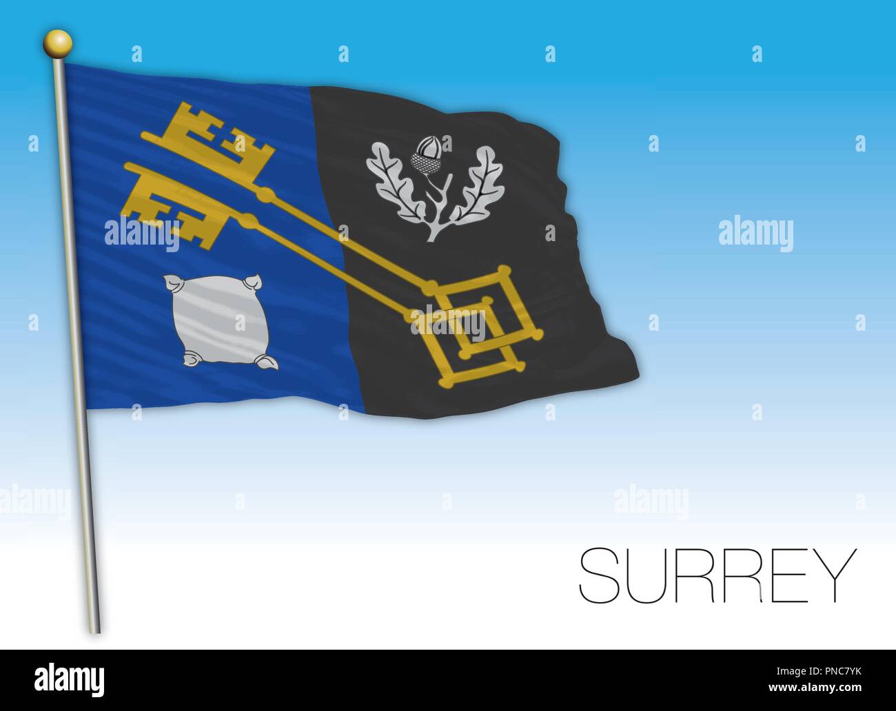 Drapeau comté de Surrey, Royaume-Uni, vector illustration Illustration de Vecteur