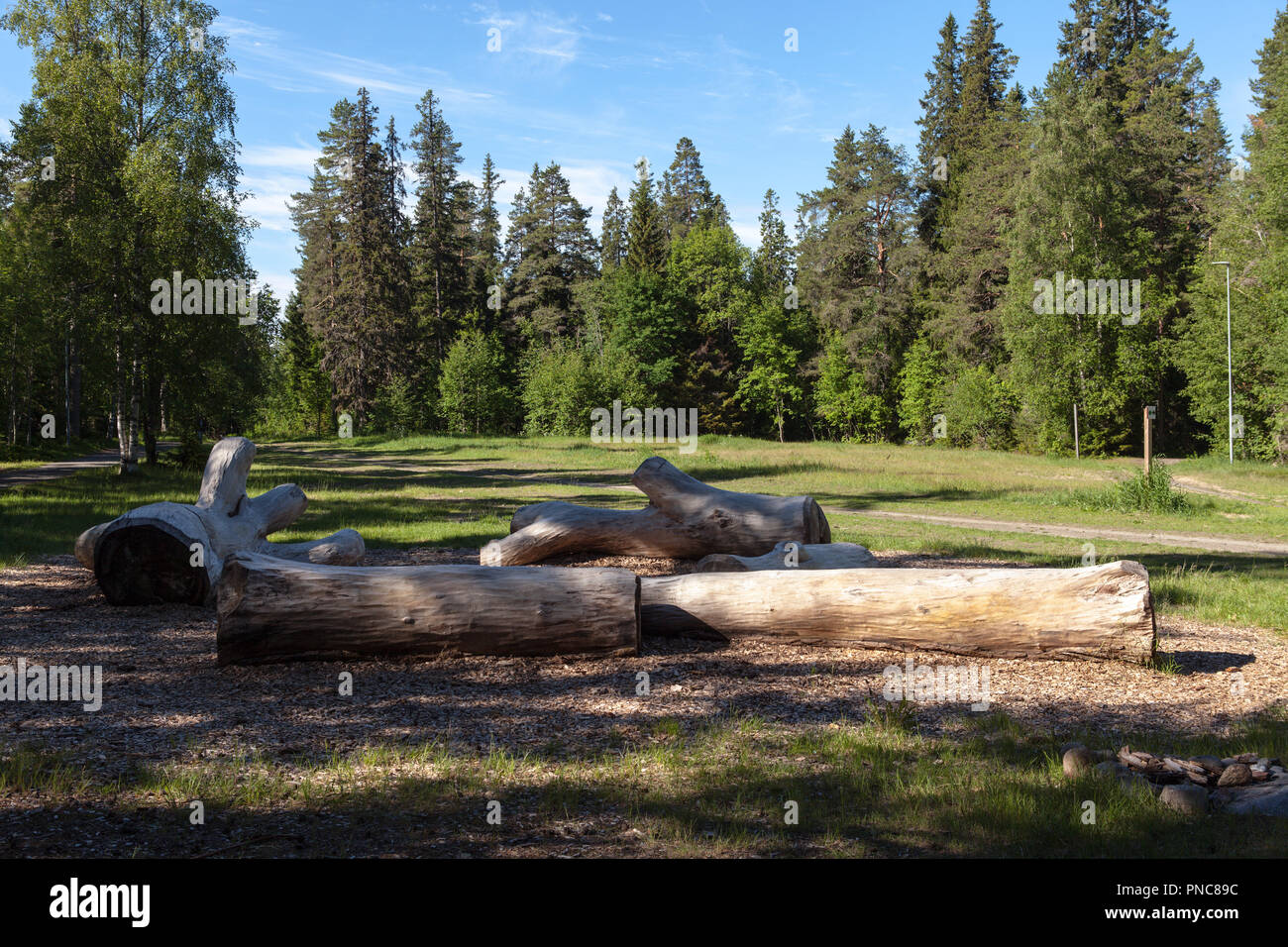 Aire de jeux extérieure, d'énormes billes à côté d'une aire ouverte. Tout autour de la forêt. Banque D'Images