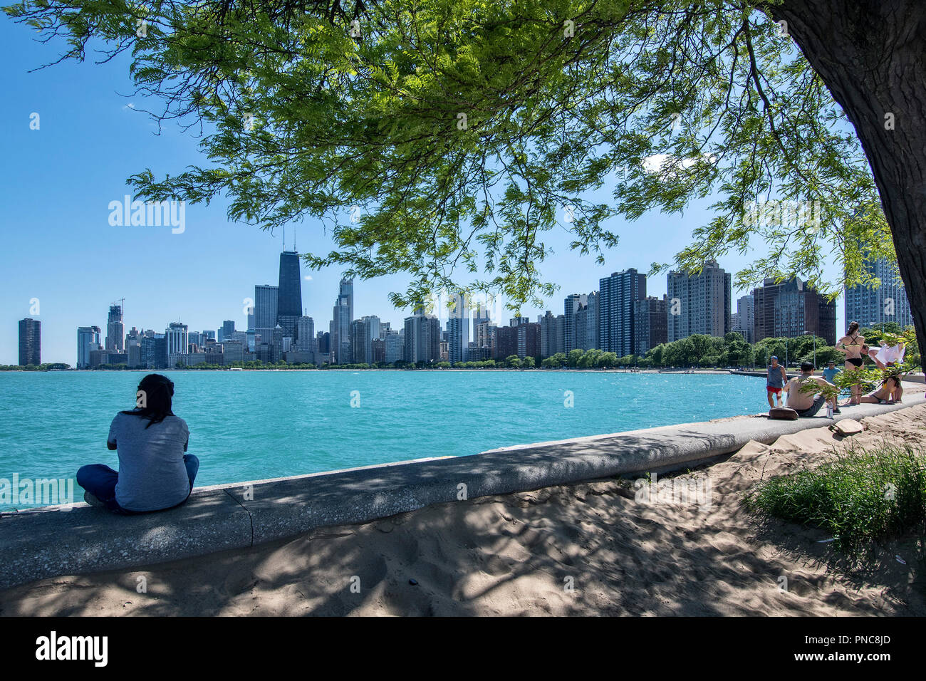 Vue de l'horizon de Chicago à partir de North Avenue Beach, sur le lac Michigan, Chicago, Illinois. Banque D'Images